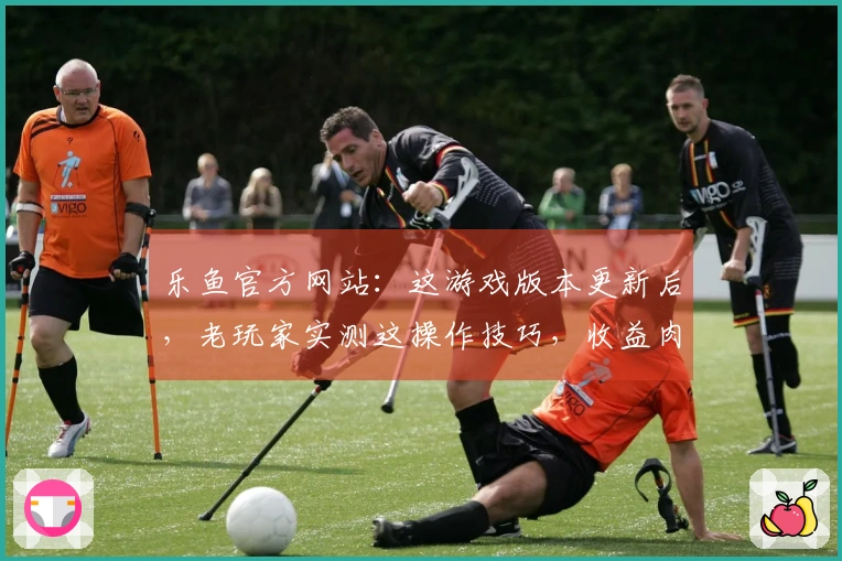乐鱼官方网站：这游戏版本更新后，老玩家实测这操作技巧，收益肉眼可见！
