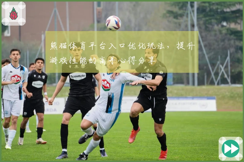 熊猫体育平台入口优化玩法，提升游戏性能的高手心得分享