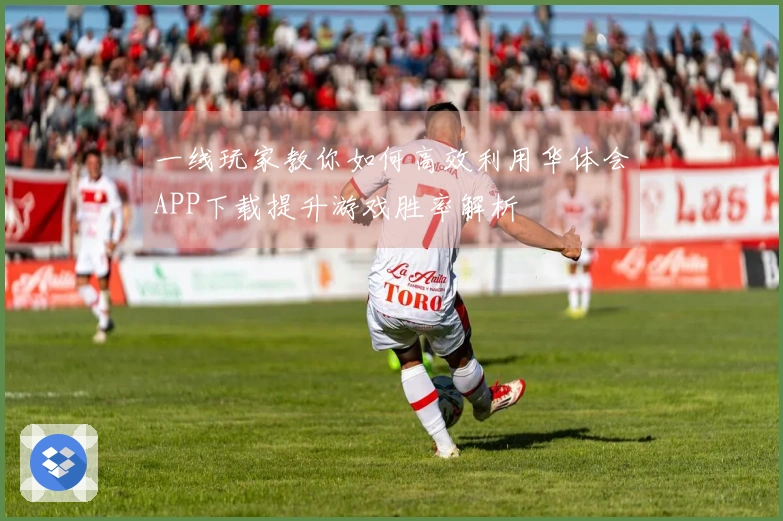 一线玩家教你如何高效利用华体会APP下载提升游戏胜率解析