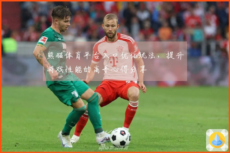 熊猫体育平台入口优化玩法，提升游戏性能的高手心得分享
